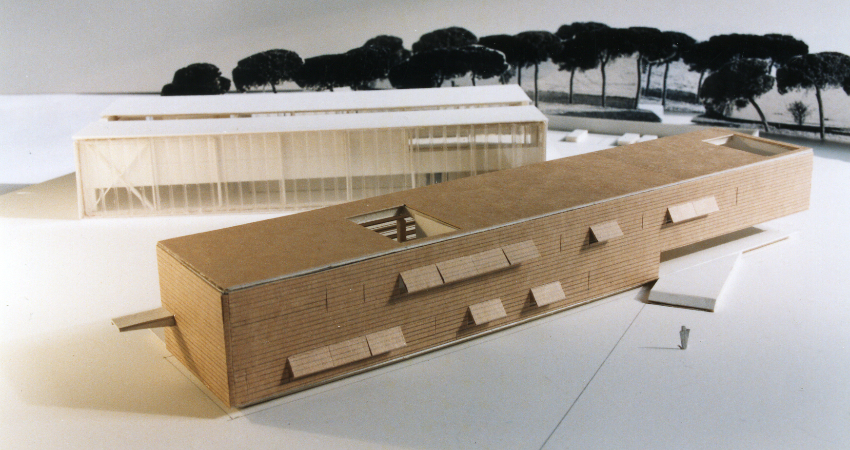 CIECEM – Espacio Natural de Doñana - foto 5